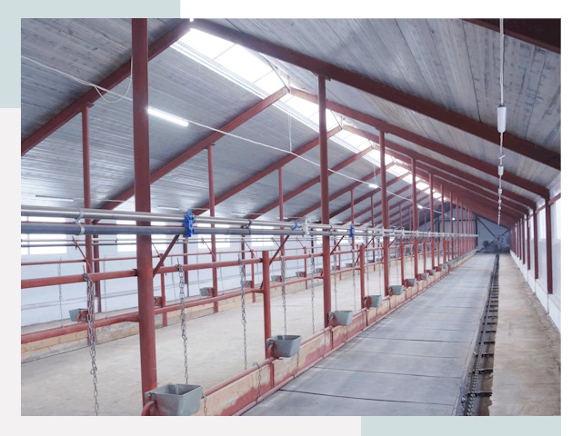 Строительство коровников в Лесне от 624 руб.