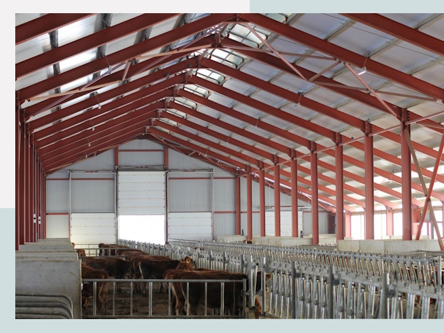 Строительство коровников в Лесне