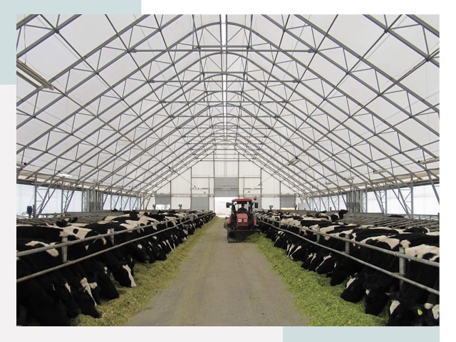 Тентовые коровники в Лесне от 624 руб. - Надежно и доступно