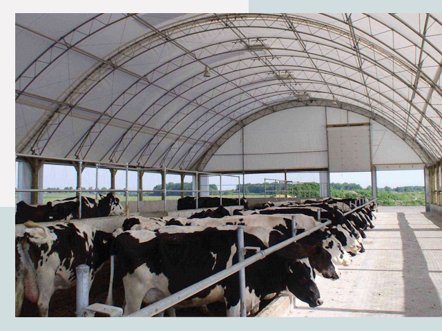 Тентовые коровники в Лесне